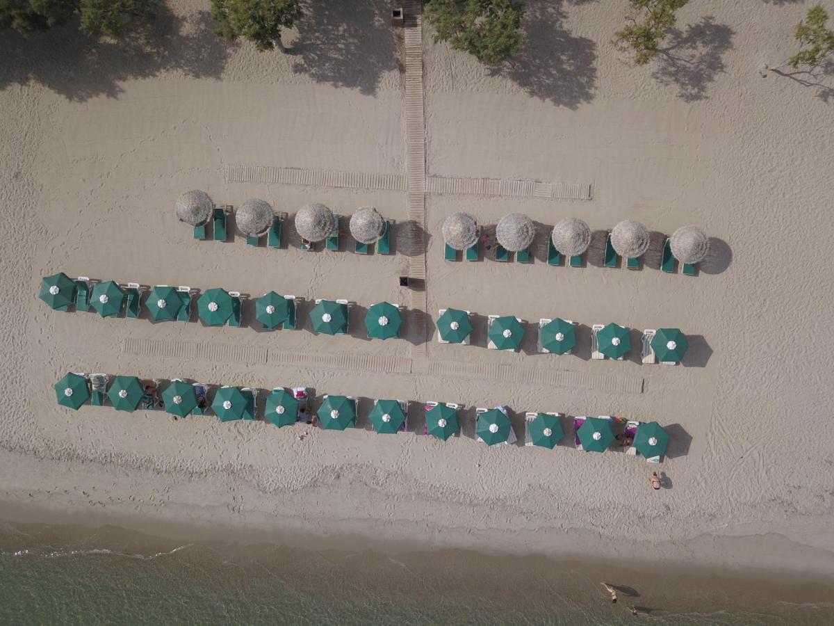 Akti Dimis Hotel Τιγκάκι Εξωτερικό φωτογραφία